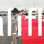 7 MM Kırmızı Renk Çim Halı