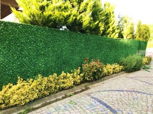 Çim Çit Diyadin ,Çim Çit Doğubayazıt ,Çim Çit Eleşkirt ,Çim Çit Hamur,Çim Çit Patnos ,Çim Çit Taşlıçay,Çim Çit Tutak